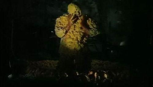 匹诺曹964号在线观看,在线观看的奇幻冒险之旅  第2张